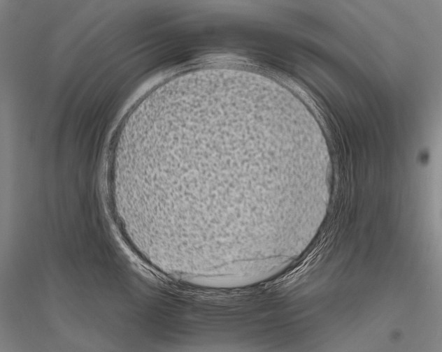 X0000116801147201001291534