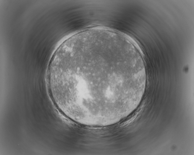 X0000116801149201001291535