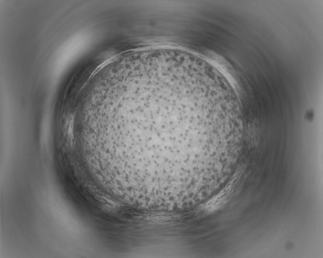 X0000116801150201001291535
