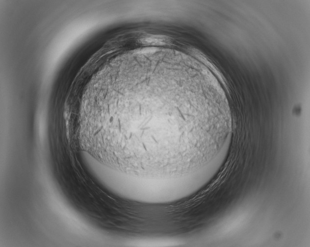 X0000116801151201001291535