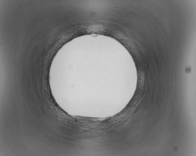 X0000116801153201001291534