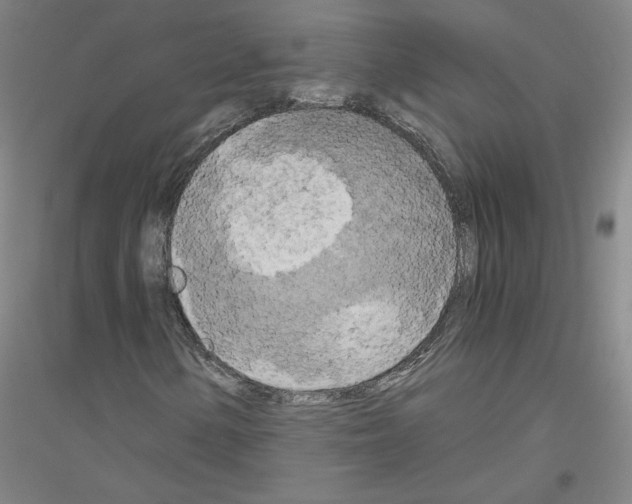 X0000116801154201001291534