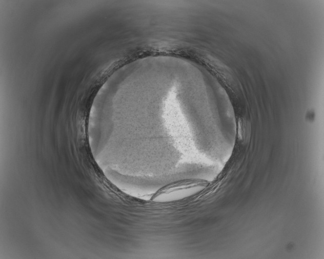 X0000116801155201001291534