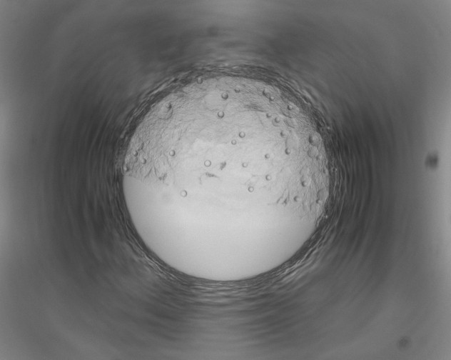 X0000116801156201001291534