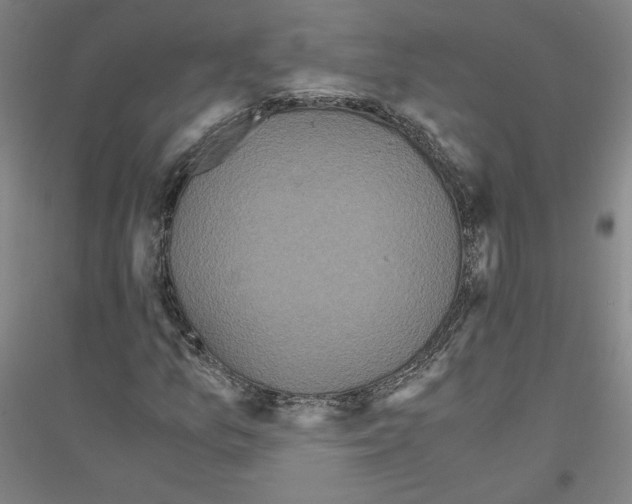 X0000116801157201001291534