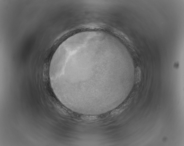 X0000116801158201001291534