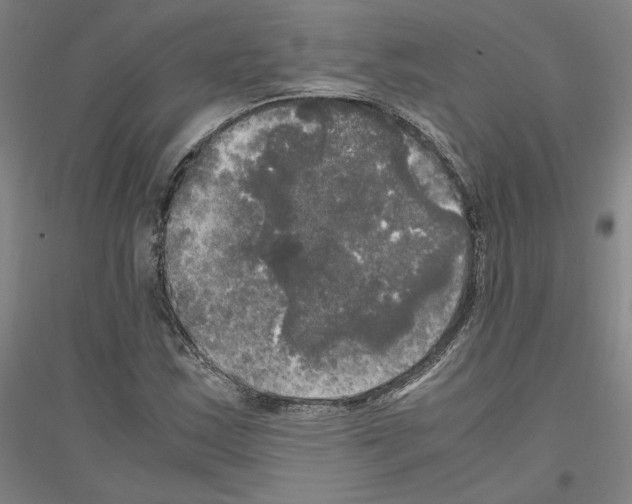 X0000116801163201001291534