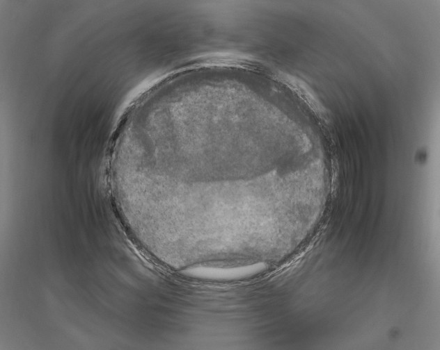 X0000116801164201001291534