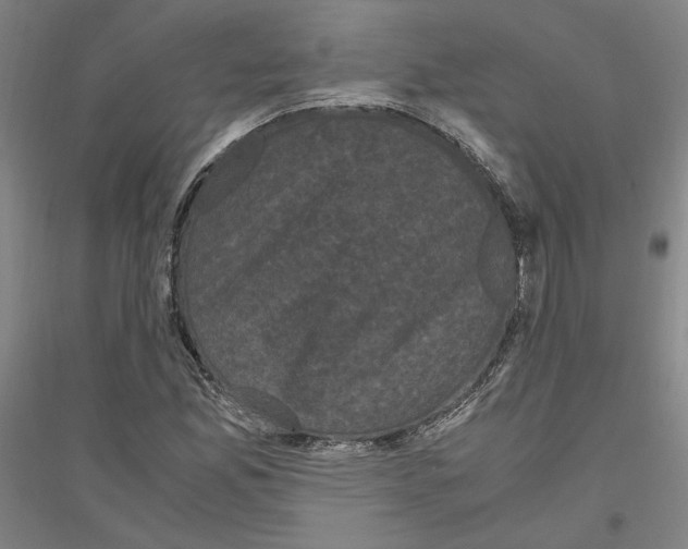 X0000116801165201001291534