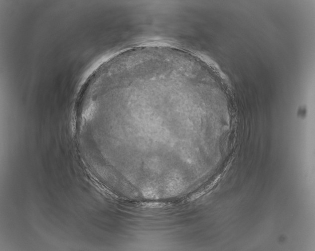 X0000116801167201001291534
