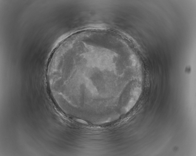 X0000116801168201001291534