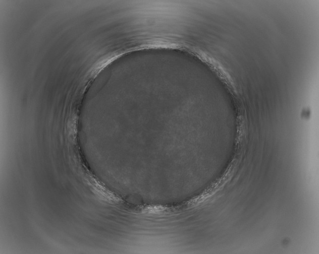 X0000116801169201001291534