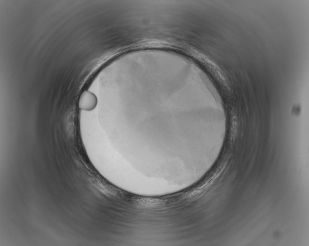X0000116801170201001291534