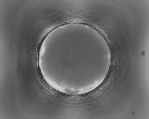 X0000116801171201001291534