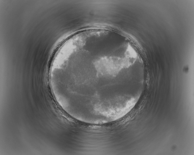 X0000116801172201001291534