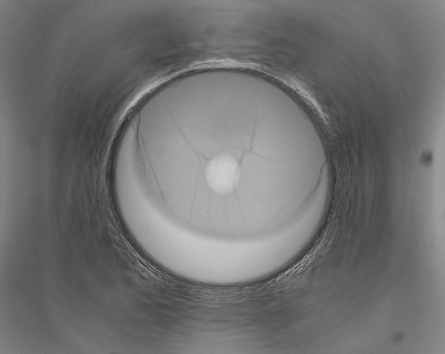 X0000116801173201001291534
