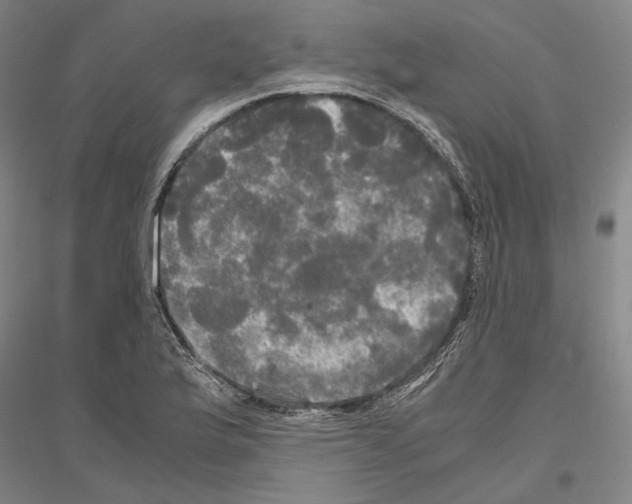 X0000116801175201001291534