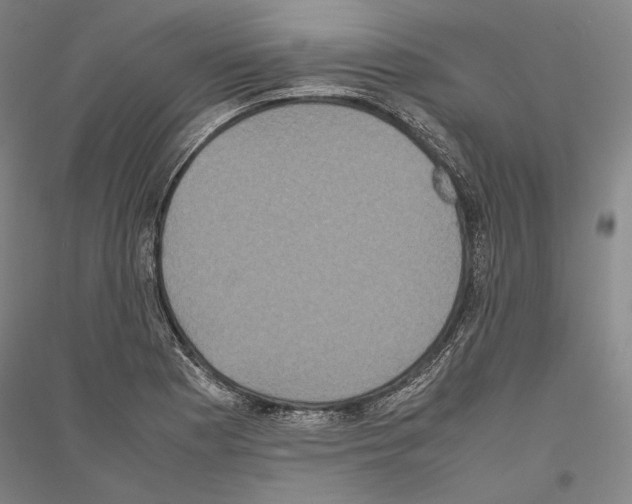 X0000116801177201001291534