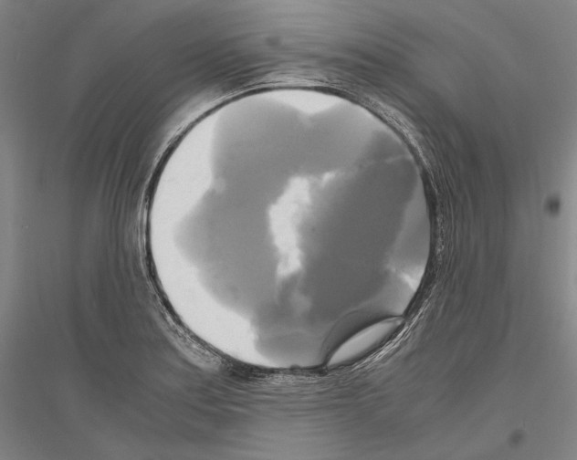 X0000116801179201001291534