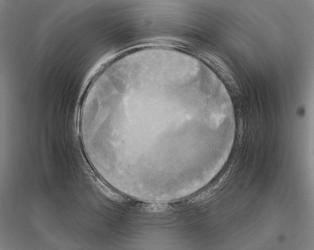 X0000116801180201001291534