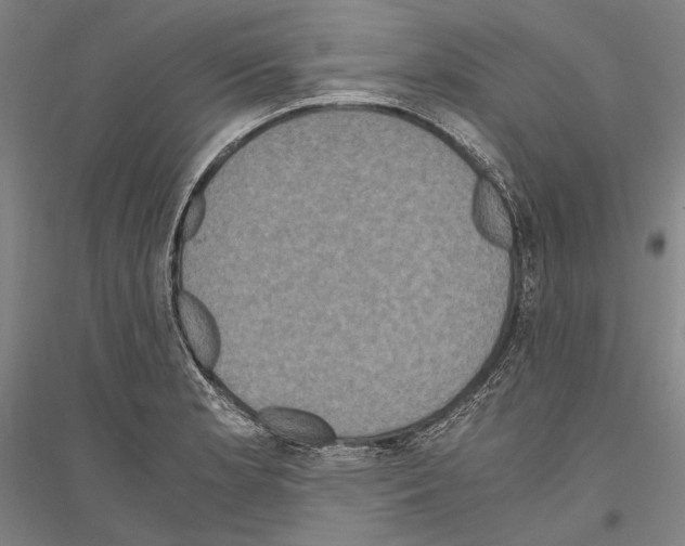 X0000116801181201001291534