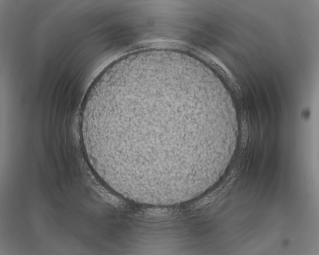 X0000116801182201001291534