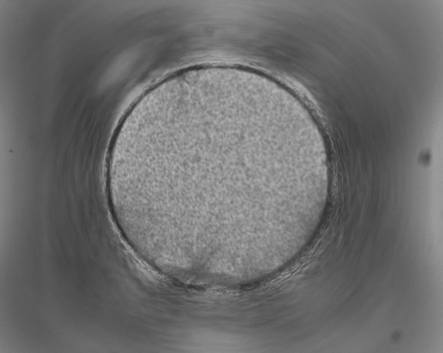 X0000116801183201001291533