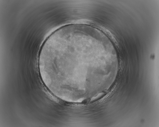 X0000116801184201001291533
