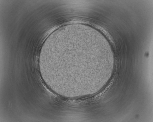 X0000116801185201001291533