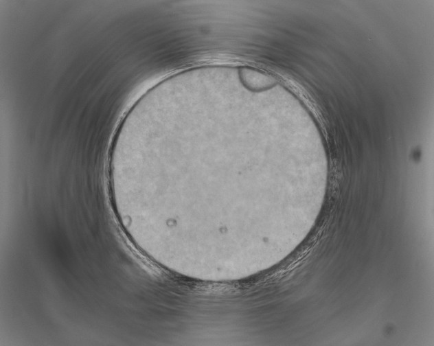 X0000116801187201001291533