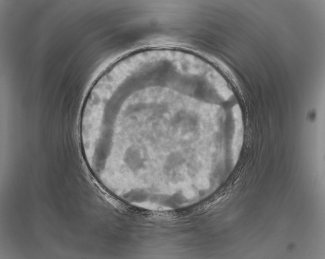 X0000116801191201001291533