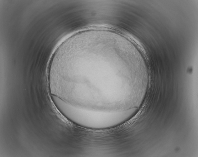 X0000116801192201001291533