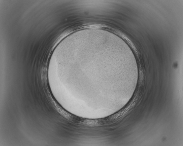 X0000116801194201001291533