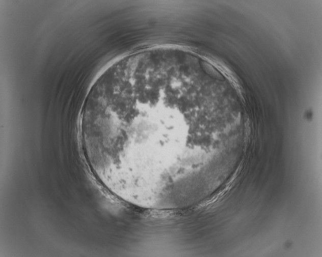 X0000116801198201001291533