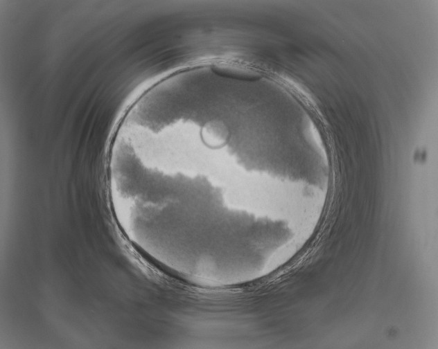 X0000116801200201001291533