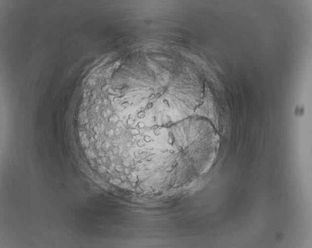 X0000116801201201001291533