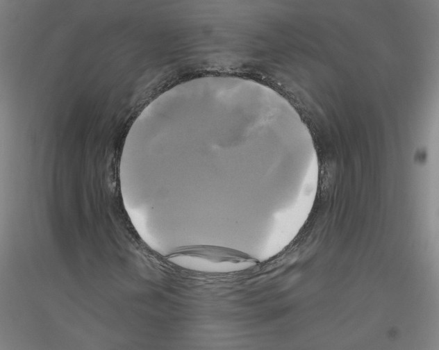 X0000116801202201001291533