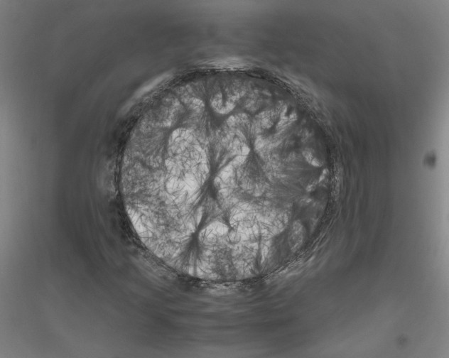 X0000116801205201001291533