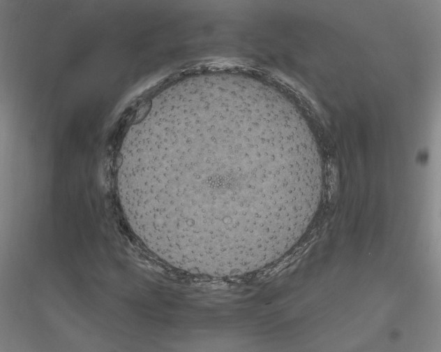 X0000116801207201001291533