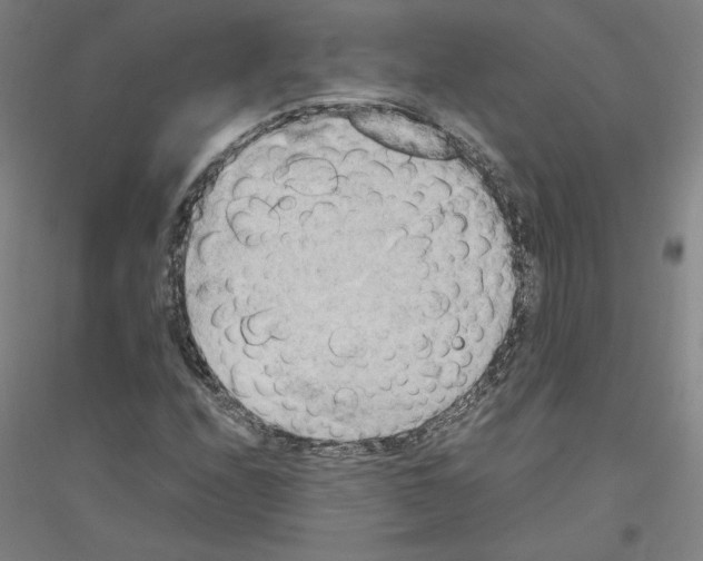 X0000116801208201001291533