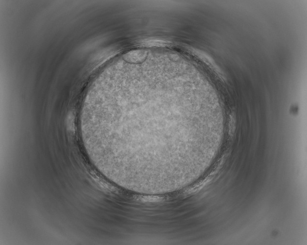 X0000116801209201001291533