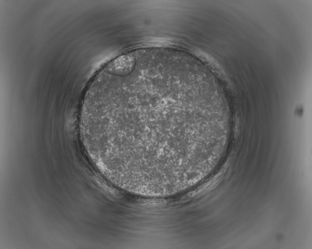 X0000116801210201001291533