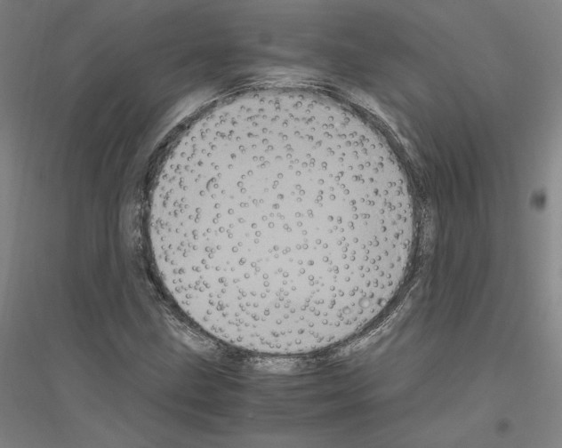 X0000116801211201001291533