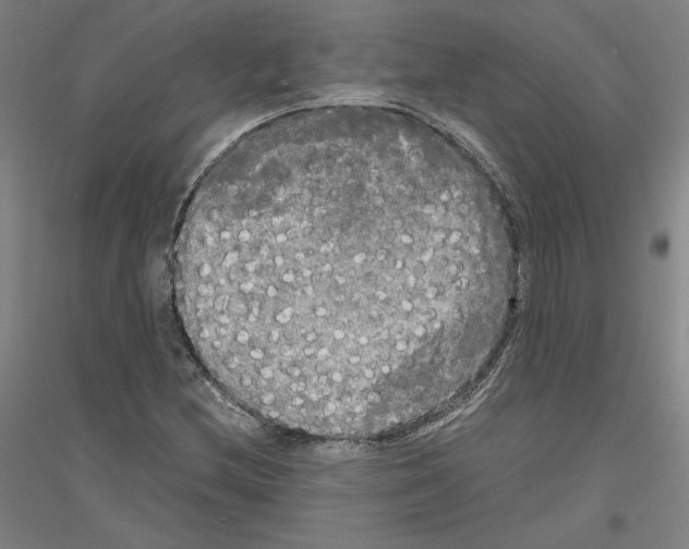 X0000116801212201001291533
