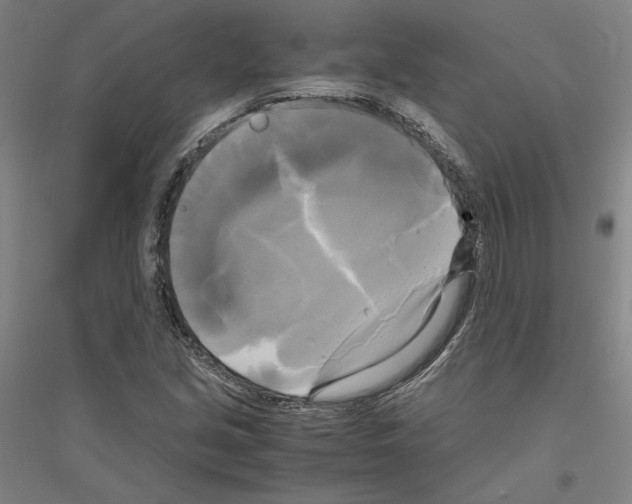 X0000116801213201001291533