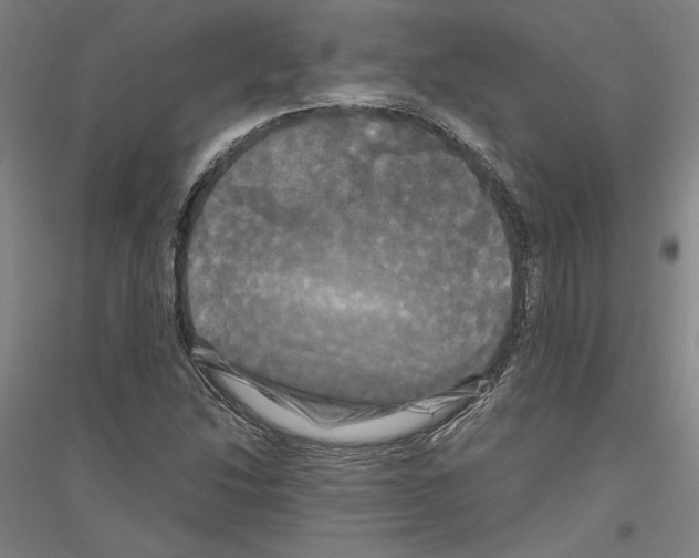X0000116801214201001291533