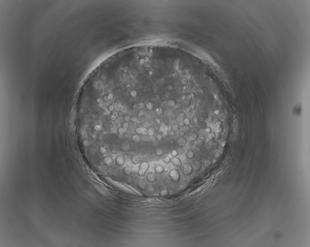 X0000116801216201001291533