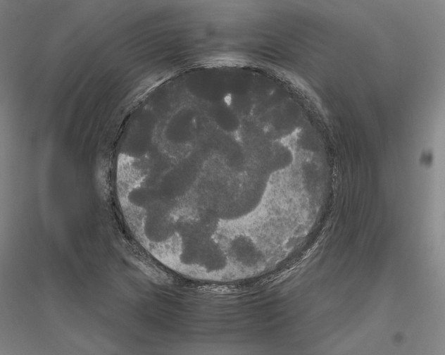 X0000116801217201001291533