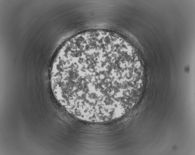 X0000116801218201001291533
