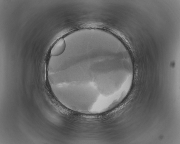 X0000116801219201001291533